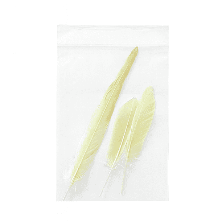 Feather sample example